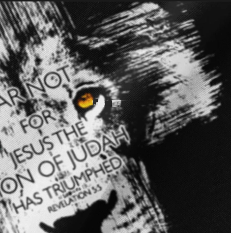 Fear Not For Jesus The Lion Of Judah Has Triumphed