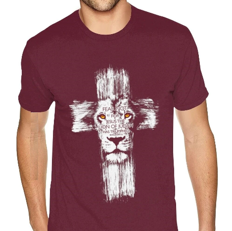 Fear Not For Jesus The Lion Of Judah Has Triumphed