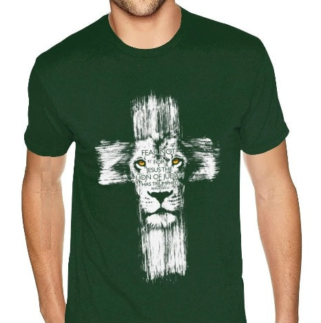 Fear Not For Jesus The Lion Of Judah Has Triumphed